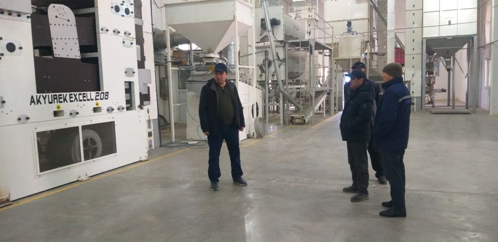 Urug‘lik chigit tayyorlash jarayonlari hududlarda o‘rganildi