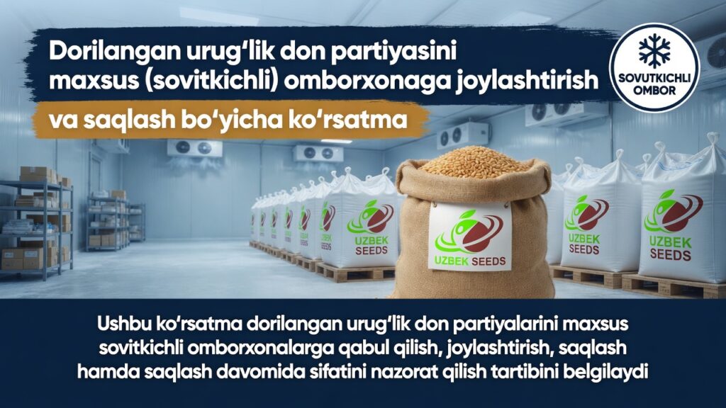 Yangiliklar